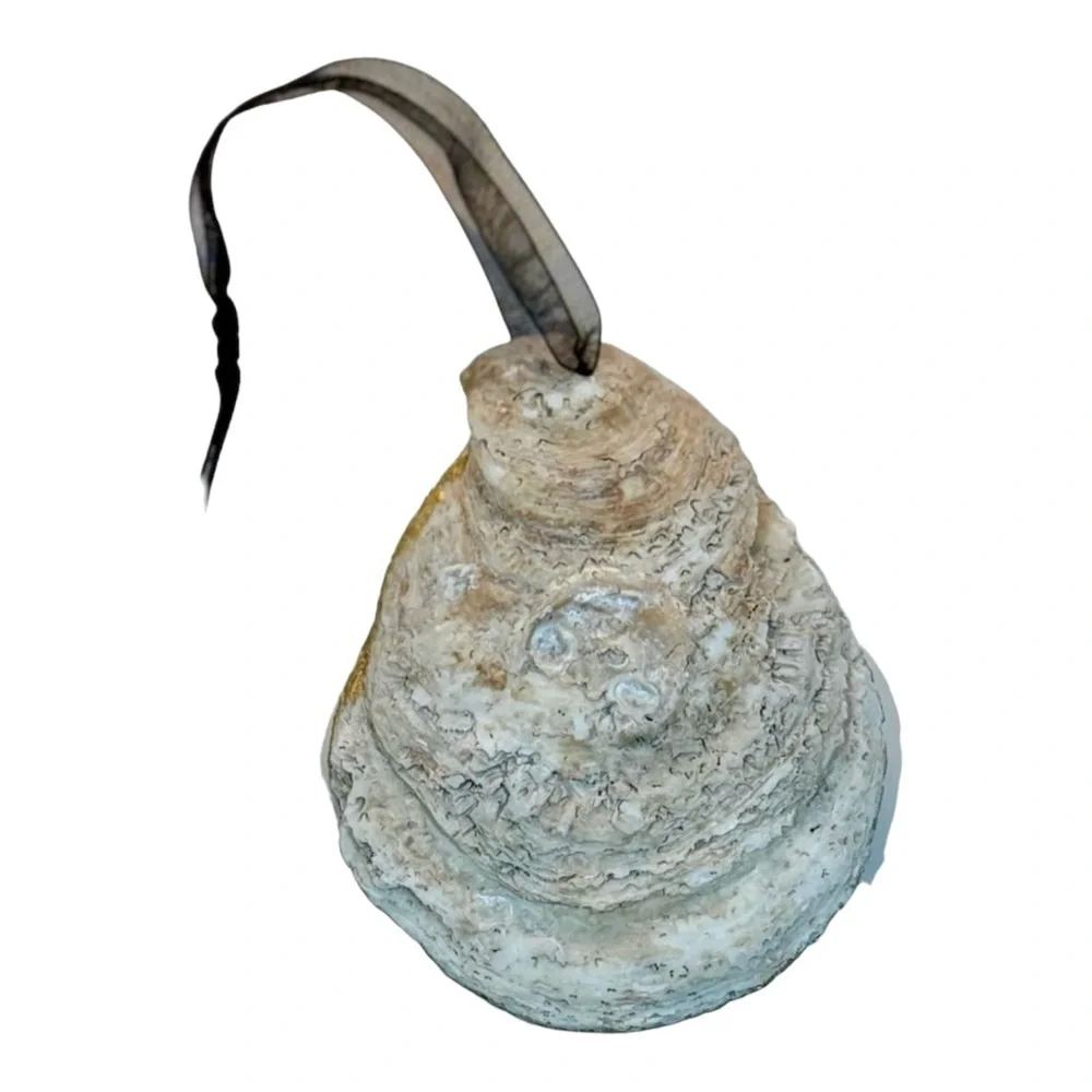 Courtly Stripe Oyster Shell Ornament 4”